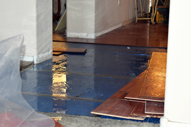 Professional Emergency Water Damage Restoration technician working in Amanda Park, WA